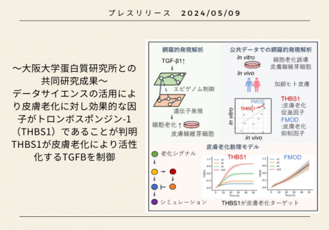 データサイエンスの活用により皮膚老化に対し効果的な因子がトロンボスポンジン-1（THBS1）であることが判明<br>~大阪大学蛋白質研究所との共同研究成果~