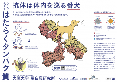 大阪モノレール千里中央駅に12月の蛋白研ポスターを掲示しました。