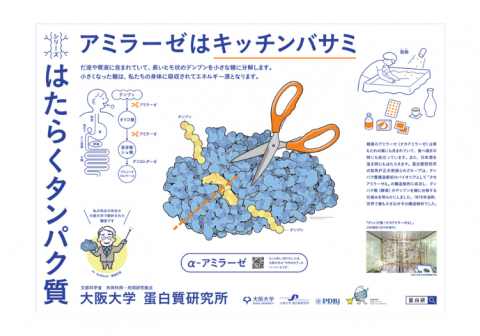 大阪モノレール千里中央駅に11月の蛋白研ポスターを掲示しました。