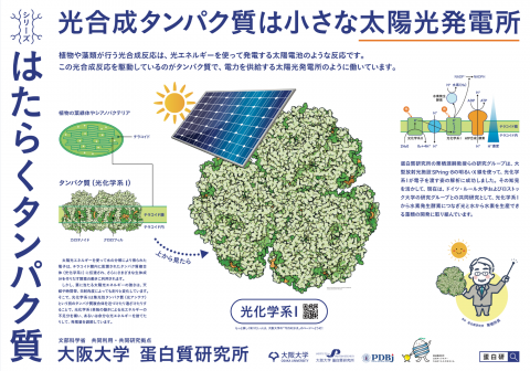 大阪モノレール千里中央駅に2月の蛋白研ポスターを掲示しました。  