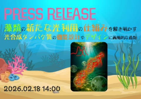 藻類の新たな光利用の仕組みを解き明かす 光合成タンパク質の機能設計やデザインに画期的な指針