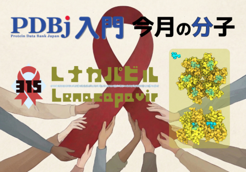 PDBjよりタンパク質の構造解説記事「今月の分子」（Molecule of the Month）の新たな記事が公開されました。