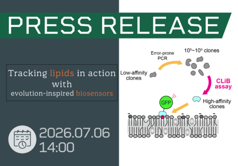 Tracking lipids in action with evolution-inspired biosensors