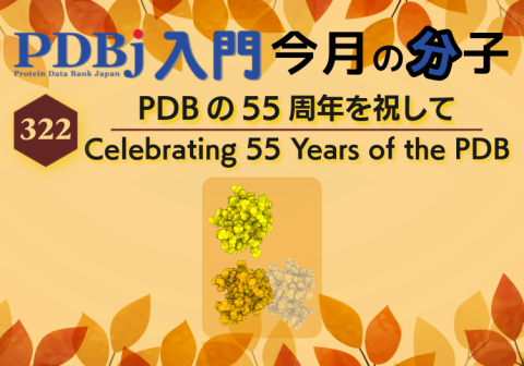 PDBjよりタンパク質の構造解説記事「今月の分子」（Molecule of the Month）の新たな記事が公開されました。
